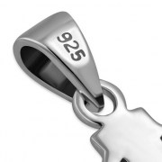 PN112 11.4 x 18.6 02.jpg